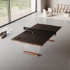 Impatia Scambio Table Tennis
