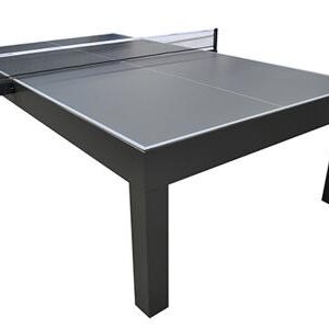 Outdoor Ping Pong
