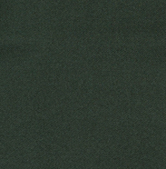 Color swatch image